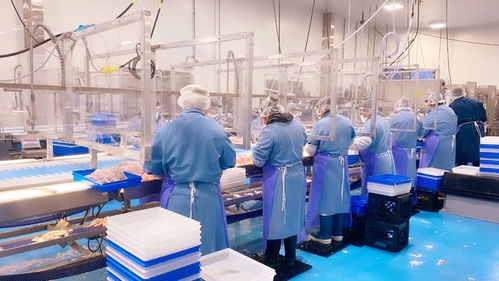 美国终于忍不住了,要放开北美大陆的沿海水产养殖