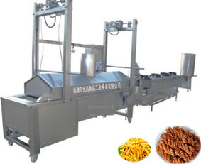 【北京全自动油炸线-山东诸城油炸生产线】- 