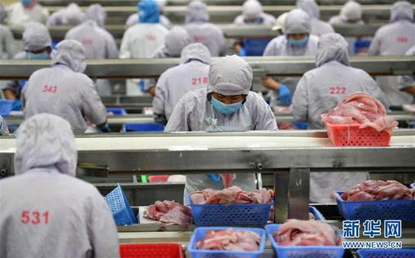海南水产出口企业陆续复工复产