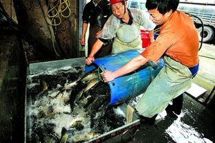 每层楼汽车可直达 大玻璃箱海鲜摆起卖