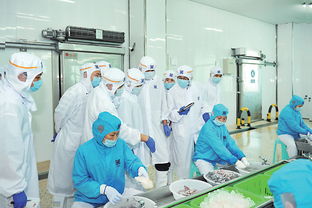 福建东山检验检疫局 精诚所至 点 鱼 成金