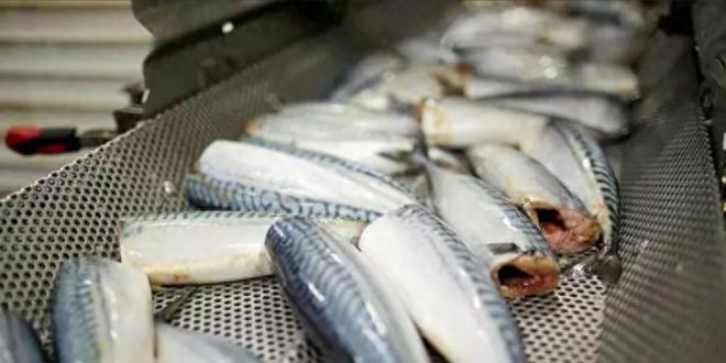 中方制裁来了!宣布全面暂停进口日本水产品!对日本打击有多大?