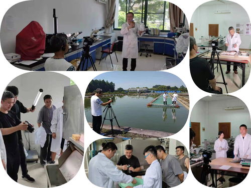 疫情之下,淡水中心水产养殖对外援助获各国 点赞