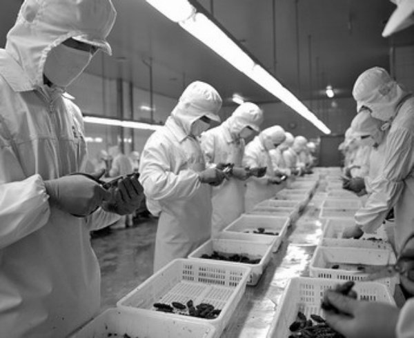 经济日报多媒体数字报刊