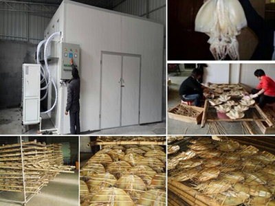 墨鱼烘干设备 最佳烘干机-