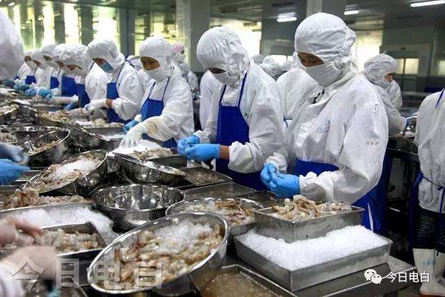 给力!电白产业园扩能增效又传来一大喜讯