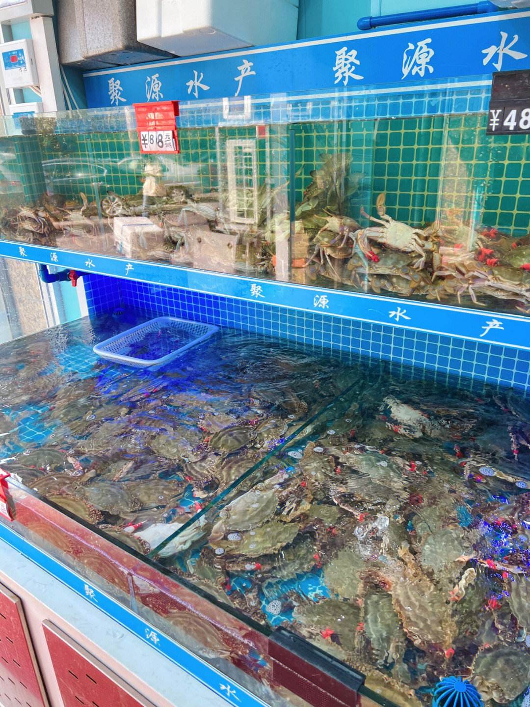 物美价廉的一站式服务海鲜大卖场
