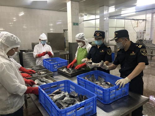 广东汕头龙湖海关助推辖区水产行业 破冰而出