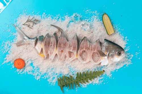 陈丹 中国一定会成为世界水产头号强国 恒兴打造世界级水产全产业链王国