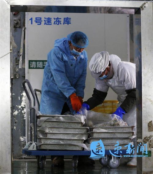 图说 螃蟹加工出口忙