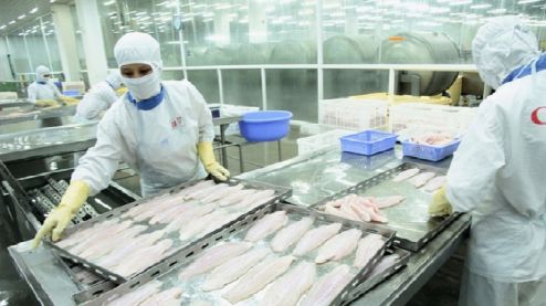 是时候对越南水产出口企业压价了