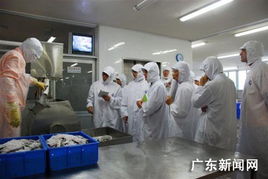 美国fda官员考察汕头水产加工企业