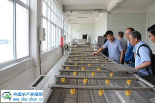 当涂螃蟹养殖面积超过25万亩,中国渔业协会水产商贸分会01号加工基地落户