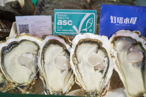 asc水产品成为我国水产 爆款 ,还需要多久