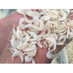 阳西县上洋镇富华海产品加工厂