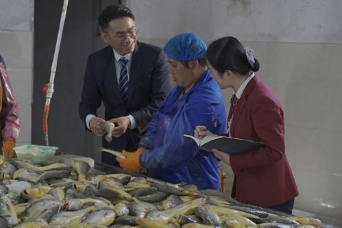 聚兴业力量 让金融 活水 润泽闽东大地