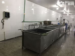 高邮水产加工型厂房,土地低价出售,证件资质齐全,可以立即生产
