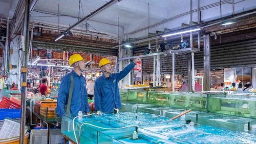 电力十足迎开渔