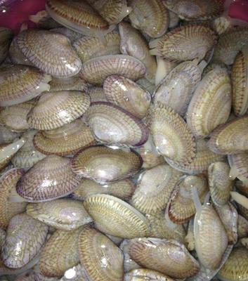 生食动物性水产品消费警示