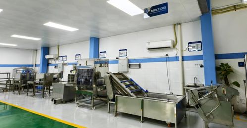 研发多种技术装备,广东省农装院引领水产养殖与加工新趋势