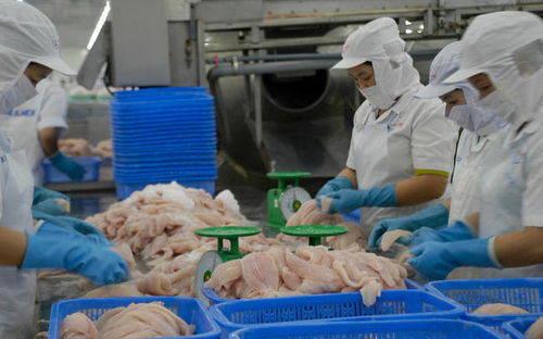 将越南打造成全球水产加工中心