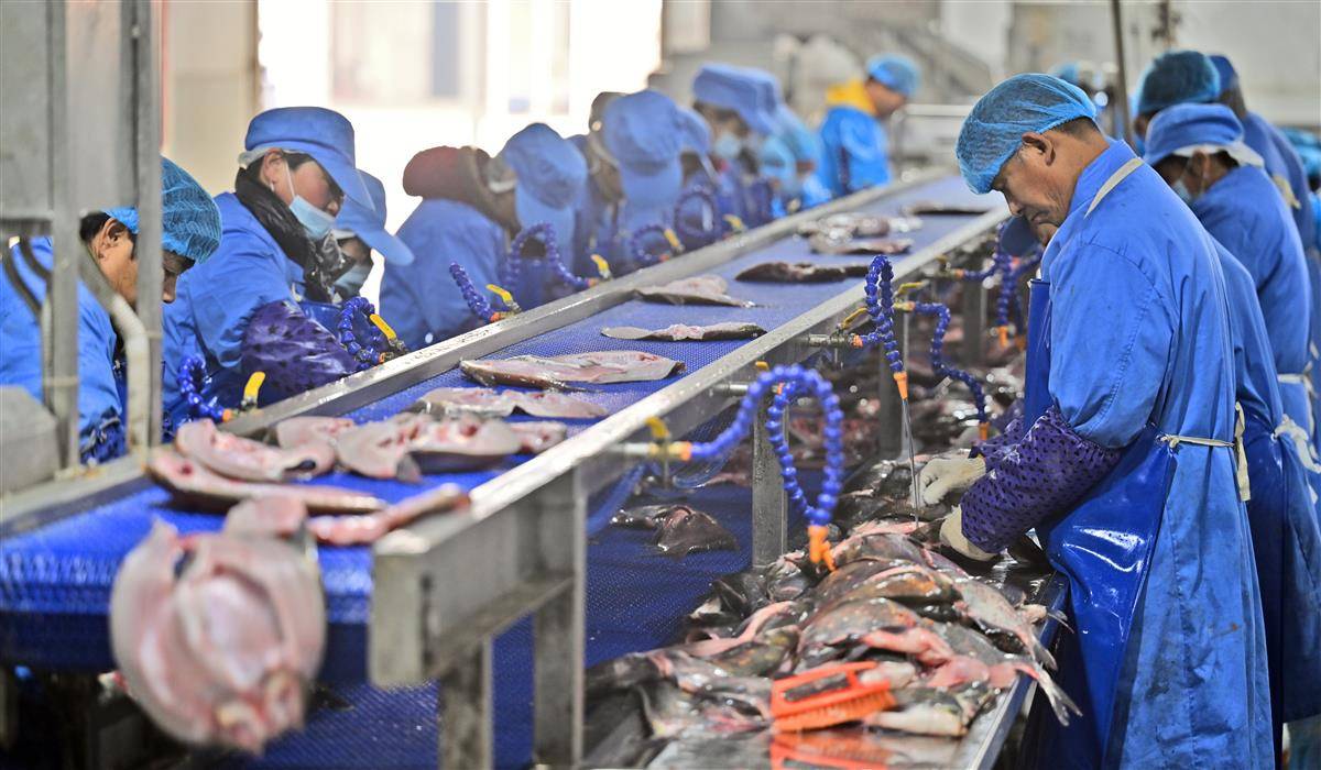 当阳农产品精深加工上年货生产忙