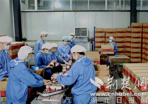 湖北老河口口碑效应吸引客商纷至沓来