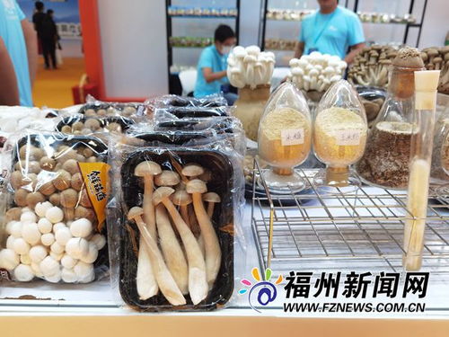 渔博会 菌博会开幕 全民互动乐享舌尖盛宴