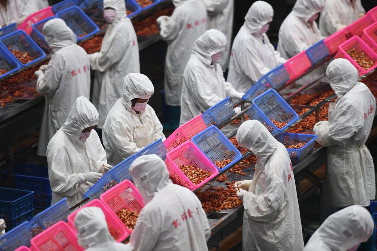 【走向我们的小康生活】江西彭泽:小龙虾产业集群助力农村奔小康