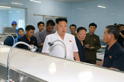金正恩视察水产品加工厂时的表情和走姿(组图) (2)