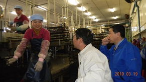 杨慧副厅长率云南省劳务代表团赴日本访问