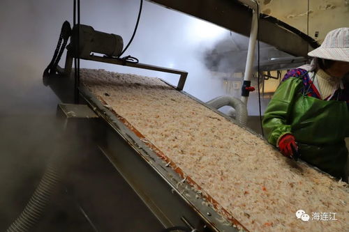 牛 8.6亿产值 7000万营收 连江小渔村实现 神反转