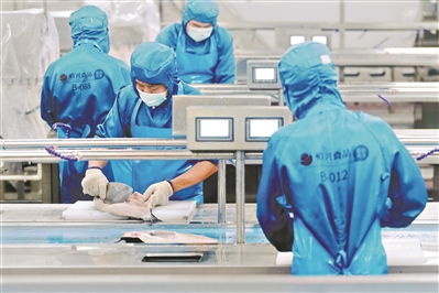 南沙区 蓝色渔港 项目投产