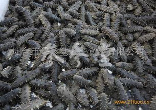 参参堂水产食品 优质产品与加盟店经营解析