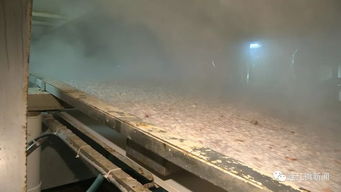 连江籍海上水产加工船 年产值三亿元的“海鲜加工厂”