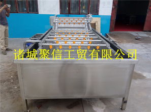 蛭石矿产报价与厂家指南，及其在水产加工中的应用