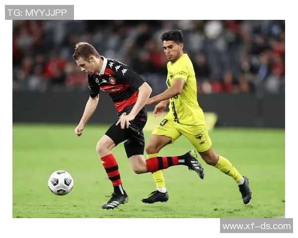 惠灵顿凤凰对阵悉尼FC赛事分析及战术解析全面解读