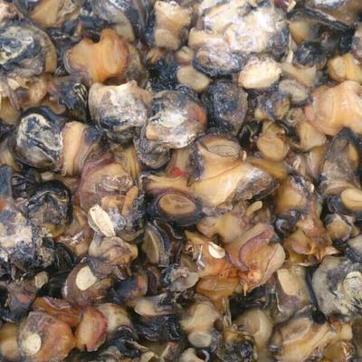 【冷冻粗加工水产品】_四川成都市冷冻粗加工水产品价格_冷冻粗加工水产品批发_四川成都市冷冻粗加工水产品供应商-搜了网