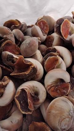 辽宁丹东东港市昌泰水产品加工厂香螺