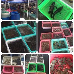 心美乐白藤头店电话,地址,营业时间(图)-珠海美食-大众点评网