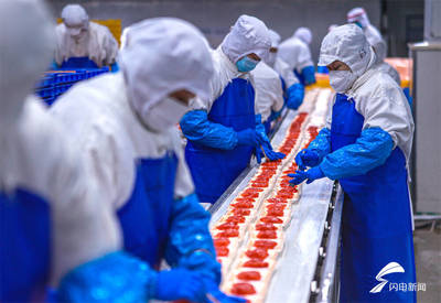 山东荣成:水产品出口加工忙