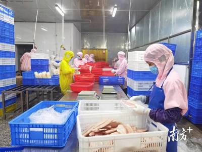 企业陆续复工“火力全开”,电白制造业奏响“奋进曲”