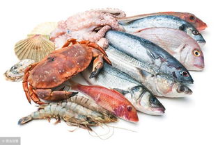 海产品加工污水处理设备 高效处理能力，满足客户多样化需求