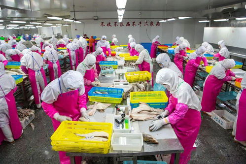 庄河市水产加工产业集群突破百亿规模