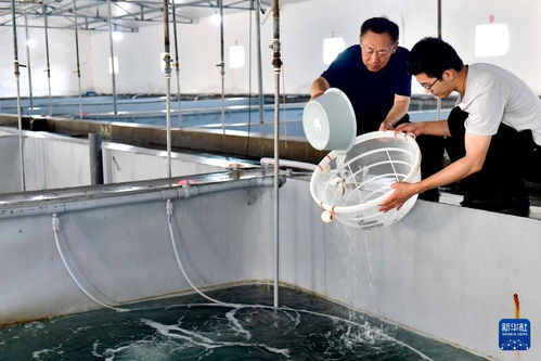 山东东港 发展海洋经济赋能乡村振兴，水产加工成新引擎