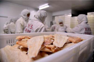 吉林边陲小城 水产加工助推新兴东北亚经济圈崛起